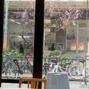 ヒメ日記 2026/03/15 08:55 投稿 良乃(ふみの) PLUS十三店