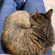 ヒメ日記 2026/03/16 22:48 投稿 良乃(ふみの) PLUS十三店