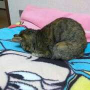 ヒメ日記 2026/03/17 21:38 投稿 良乃(ふみの) PLUS十三店