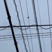 ヒメ日記 2026/04/02 08:18 投稿 良乃(ふみの) PLUS十三店