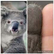 ヒメ日記 2026/04/06 07:29 投稿 良乃(ふみの) PLUS十三店