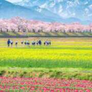 ヒメ日記 2026/04/12 05:46 投稿 良乃(ふみの) PLUS十三店