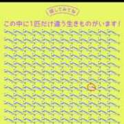 ヒメ日記 2026/04/13 00:18 投稿 良乃(ふみの) PLUS十三店