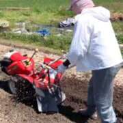 ヒメ日記 2026/04/14 20:41 投稿 良乃(ふみの) PLUS十三店