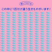 ヒメ日記 2026/04/15 12:58 投稿 良乃(ふみの) PLUS十三店