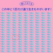 ヒメ日記 2026/04/15 13:18 投稿 良乃(ふみの) PLUS十三店