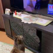 ヒメ日記 2026/04/20 21:08 投稿 良乃(ふみの) PLUS十三店