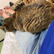 ヒメ日記 2026/04/21 21:18 投稿 良乃(ふみの) PLUS十三店