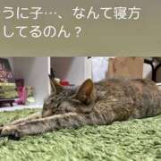 ヒメ日記 2026/06/24 05:18 投稿 良乃(ふみの) PLUS十三店