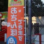 ヒメ日記 2026/07/01 20:48 投稿 良乃(ふみの) PLUS十三店