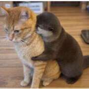 ヒメ日記 2026/08/14 15:19 投稿 良乃(ふみの) PLUS十三店