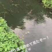 ヒメ日記 2026/08/25 01:09 投稿 良乃(ふみの) PLUS十三店
