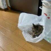 ヒメ日記 2026/09/01 08:19 投稿 良乃(ふみの) PLUS十三店