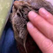 ヒメ日記 2026/09/15 20:19 投稿 良乃(ふみの) PLUS十三店