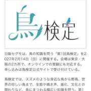 ヒメ日記 2026/10/07 08:41 投稿 良乃(ふみの) PLUS十三店