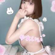 コダマ※完全業界未経験 さみしいの🐰🌀 きらめけ！にゃんにゃん学園in大宮