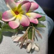 ヒメ日記 2025/05/18 10:22 投稿 みくる 風俗の神様　浜松店