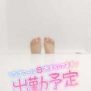 ヒメ日記 2025/04/23 09:27 投稿 うる 新宿スピン