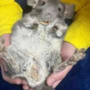 ヒメ日記 2025/03/26 12:27 投稿 こおり 新宿スピン