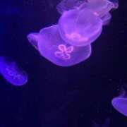 ヒメ日記 2025/04/30 12:37 投稿 こおり 新宿スピン