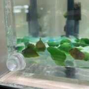 ヒメ日記 2025/05/14 16:37 投稿 こおり 新宿スピン