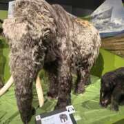 ヒメ日記 2025/07/22 15:27 投稿 こおり 新宿スピン