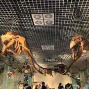 ヒメ日記 2025/07/23 00:27 投稿 こおり 新宿スピン