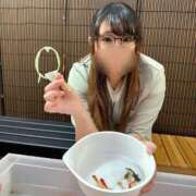 ヒメ日記 2025/07/25 00:27 投稿 こおり 新宿スピン