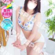 ヒメ日記 2025/12/30 12:07 投稿 あおい 新宿スピン