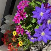 ヒメ日記 2025/05/21 07:17 投稿 ききょう しゅうかつ倶楽部