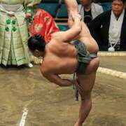 ヒメ日記 2025/05/25 14:27 投稿 ききょう しゅうかつ倶楽部