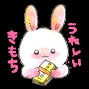 ヒメ日記 2025/06/02 10:20 投稿 ききょう しゅうかつ倶楽部