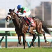 ヒメ日記 2025/06/08 15:13 投稿 ききょう しゅうかつ倶楽部