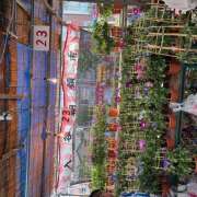 ヒメ日記 2025/07/06 08:36 投稿 ききょう しゅうかつ倶楽部