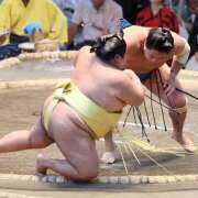 ヒメ日記 2025/07/15 14:57 投稿 ききょう しゅうかつ倶楽部