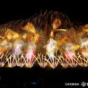 ヒメ日記 2025/08/03 14:35 投稿 ききょう しゅうかつ倶楽部