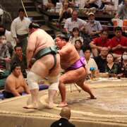 ヒメ日記 2025/08/05 07:17 投稿 ききょう しゅうかつ倶楽部