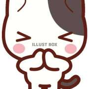 ヒメ日記 2025/08/15 10:01 投稿 ききょう しゅうかつ倶楽部