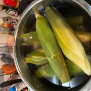 ヒメ日記 2025/08/16 14:08 投稿 ききょう しゅうかつ倶楽部