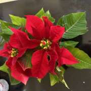 ヒメ日記 2025/11/13 11:32 投稿 ききょう しゅうかつ倶楽部