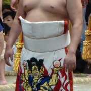 ききょう 伏兵、阿炎✊ しゅうかつ倶楽部