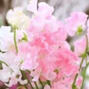 ヒメ日記 2026/02/05 08:07 投稿 ききょう しゅうかつ倶楽部