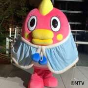 ヒメ日記 2026/03/04 08:23 投稿 ききょう しゅうかつ倶楽部