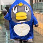 ヒメ日記 2026/03/04 08:58 投稿 ききょう しゅうかつ倶楽部