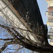 ヒメ日記 2026/04/01 08:28 投稿 ききょう しゅうかつ倶楽部