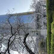 ヒメ日記 2026/04/05 10:36 投稿 ききょう しゅうかつ倶楽部