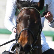 ヒメ日記 2026/04/05 14:24 投稿 ききょう しゅうかつ倶楽部