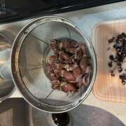 ヒメ日記 2026/04/09 08:12 投稿 ききょう しゅうかつ倶楽部