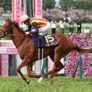 ヒメ日記 2026/04/12 16:31 投稿 ききょう しゅうかつ倶楽部