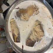 ヒメ日記 2026/04/16 08:56 投稿 ききょう しゅうかつ倶楽部